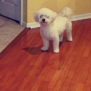 Meet your Posher, Mark